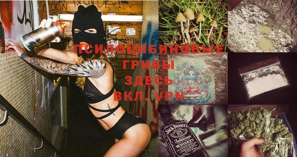 героин Горняк